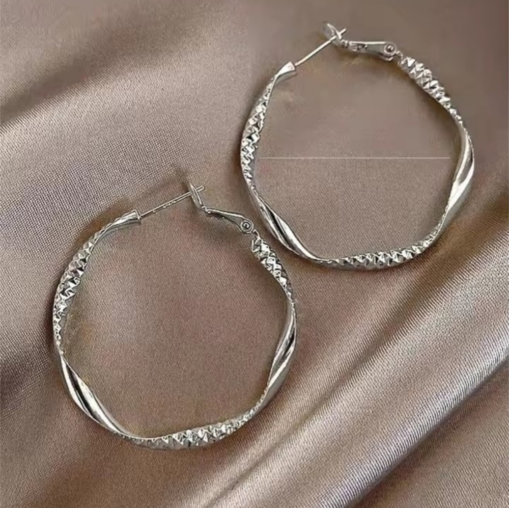 Silver‎ Twisted Hoop Earrings Women's Jewelry New f97